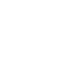 Values Logo