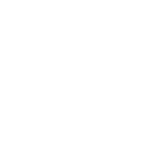 Vision Logo