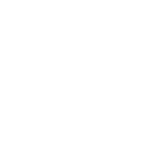 Corporate Governance Logo