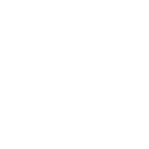 Problem Solver Logo